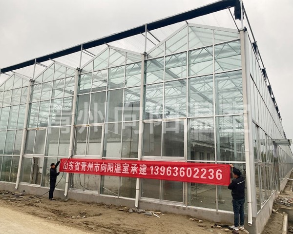 江蘇泰州車厘子種植玻璃溫室