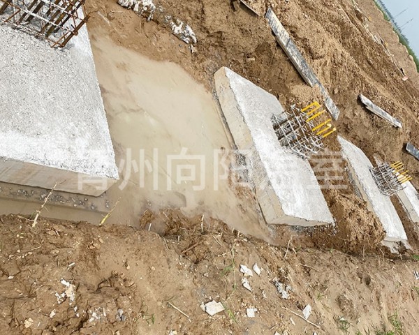 溫室土建項目案例